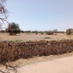 Dry stone wall along a dirt road with a parched field and scattered trees under a clear blue sky.