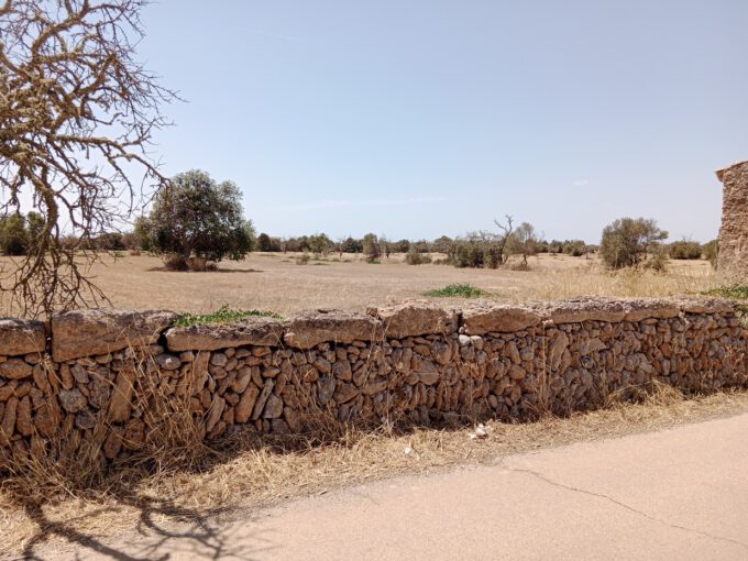 Dry stone wall along a dirt road with a parched field and scattered trees under a clear blue sky.