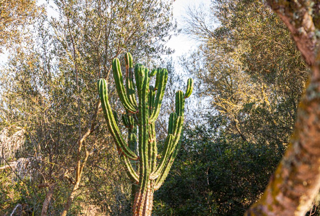 WhatsApp Image 2026-07-13 at 15.41.16