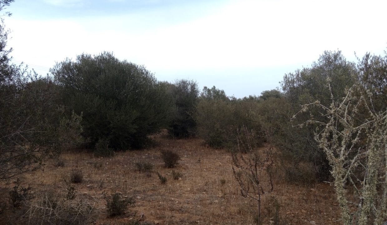 IMG_20260820_185035