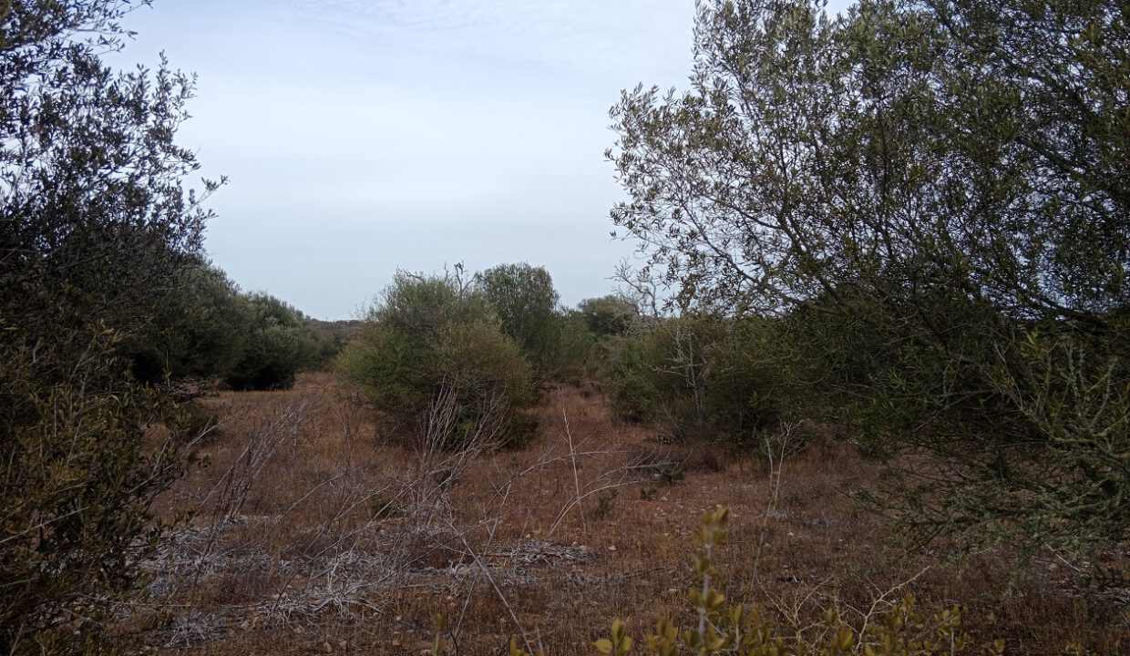 IMG_20260820_185104